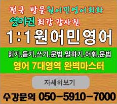 서울과외 1대1원어민영어회화